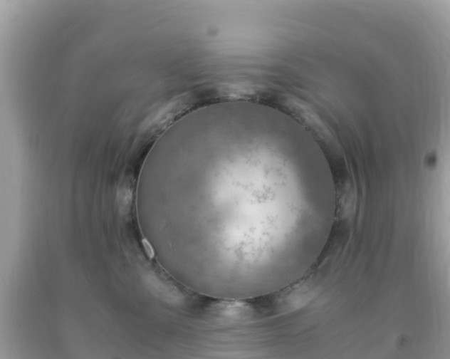 X0000093770427200710231316