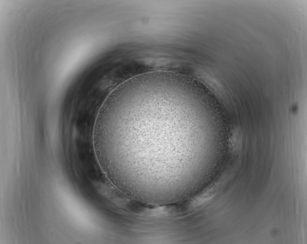 X0000093770430200710231316