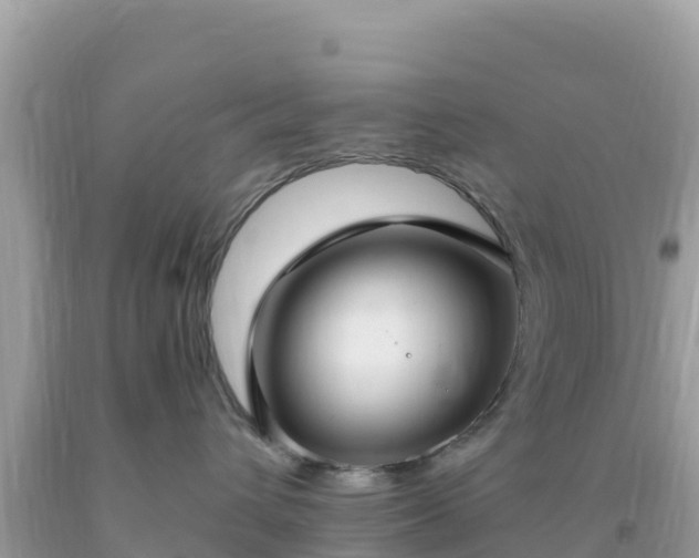 X0000093770432200710231316