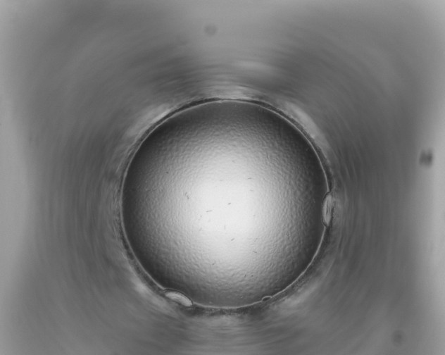 X0000093770433200710231315