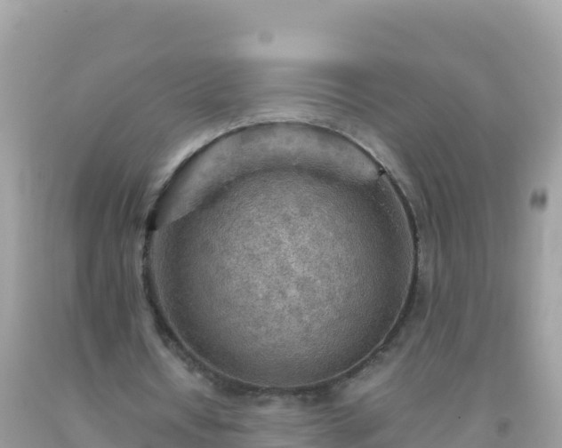 X0000093770434200710231315