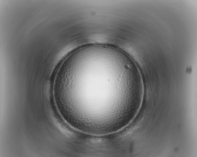 X0000093770439200710231315