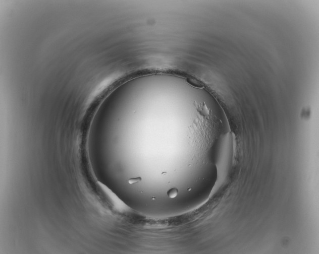 X0000093770440200710231315