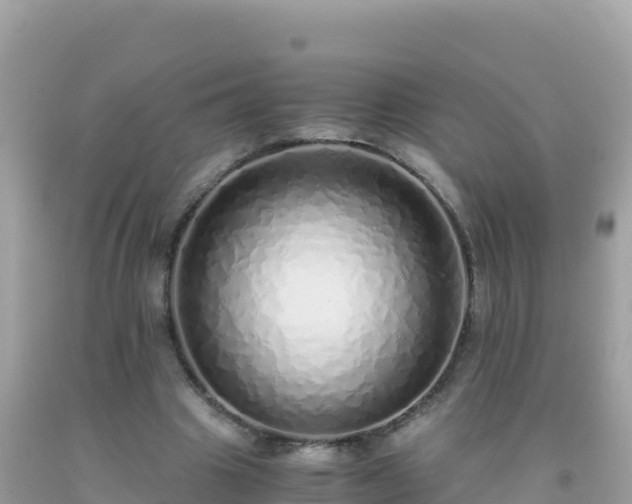 X0000093770441200710231315