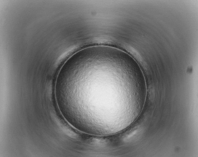 X0000093770442200710231315