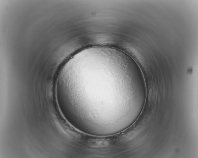 X0000093770443200710231315