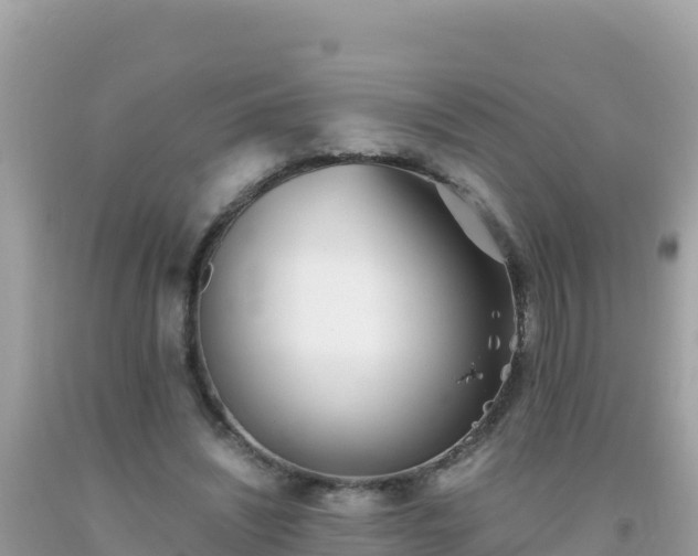 X0000093770444200710231315