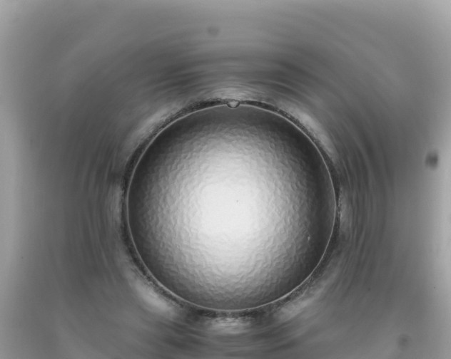 X0000093770445200710231315