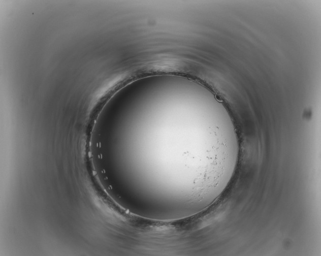 X0000093770446200710231315