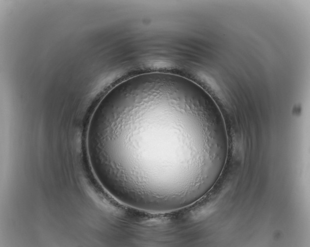 X0000093770447200710231315