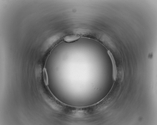 X0000093770448200710231315