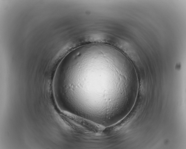 X0000093770449200710231315