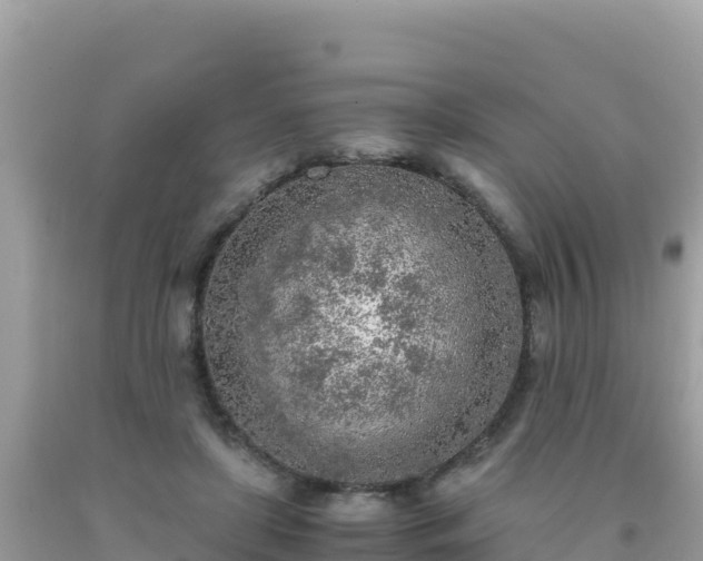 X0000093770451200710231315