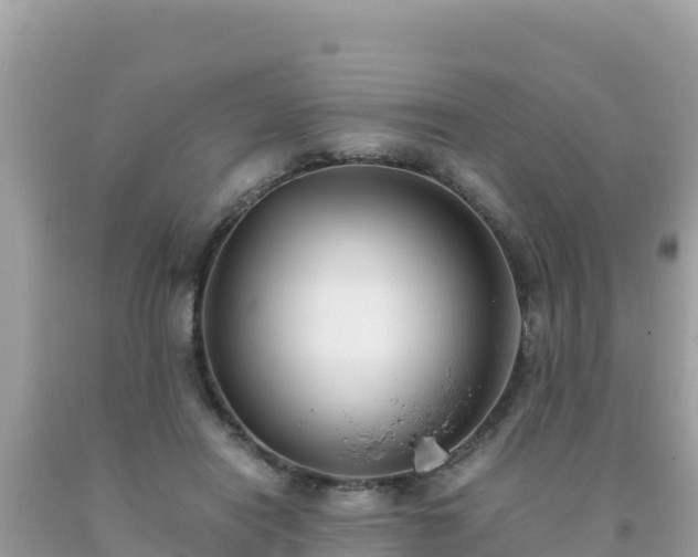 X0000093770454200710231315