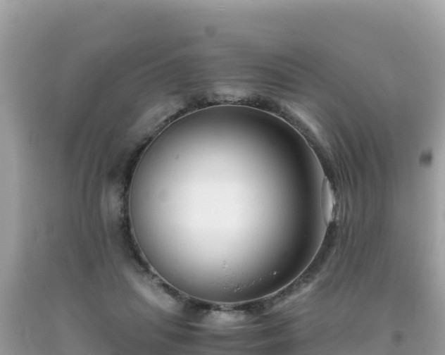 X0000093770455200710231315