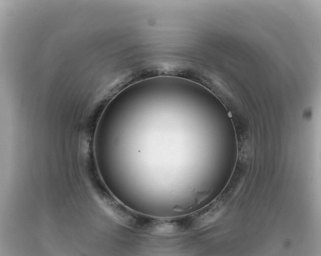 X0000093770456200710231315