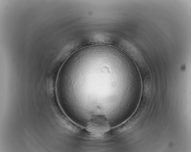 X0000093770457200710231315