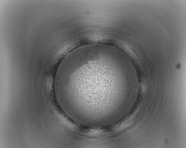 X0000093770458200710231315