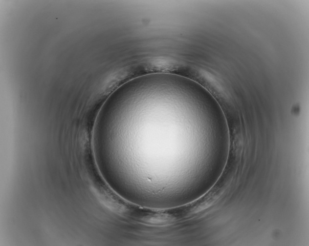 X0000093770459200710231315