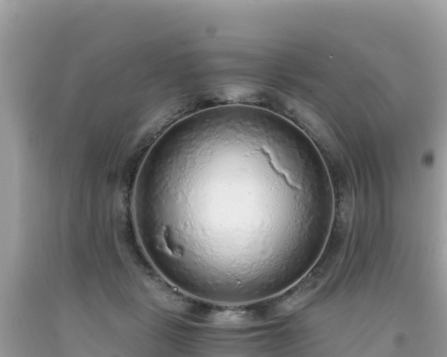 X0000093770461200710231316