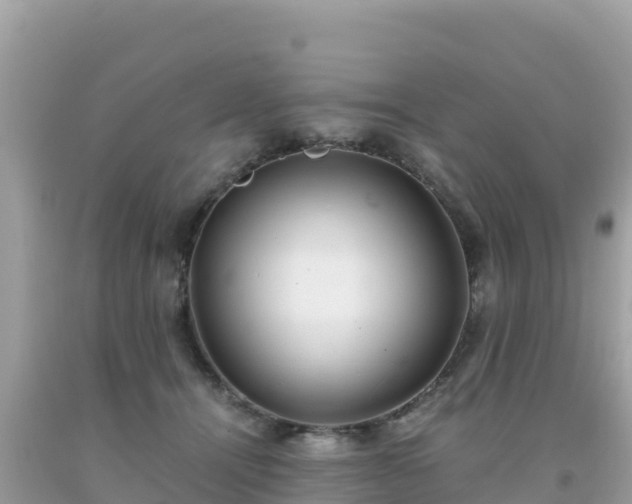 X0000093770464200710231316