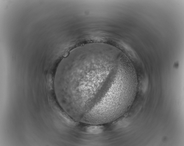 X0000093770465200710231316