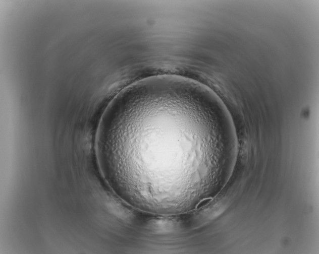 X0000093770466200710231316