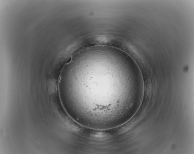 X0000093770467200710231316