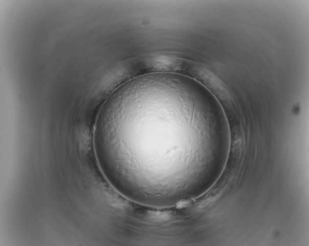 X0000093770469200710231316