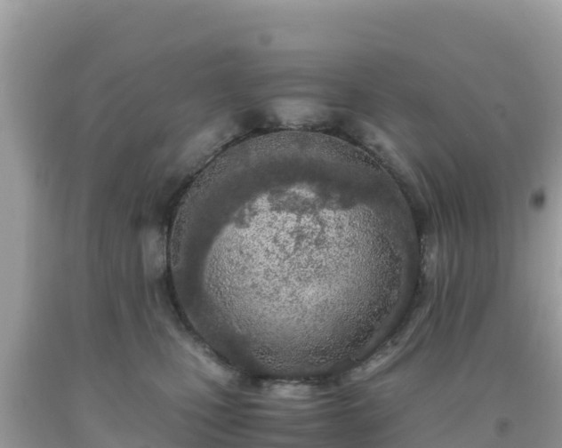 X0000093770471200710231316