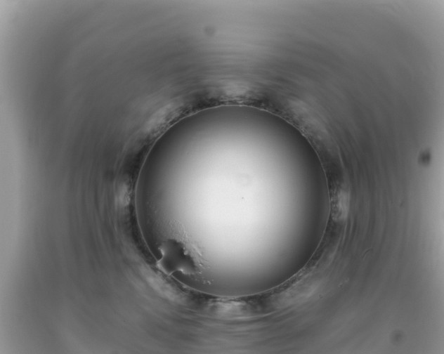 X0000093770472200710231316