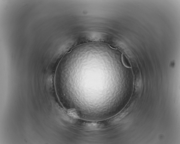 X0000093770473200710231316