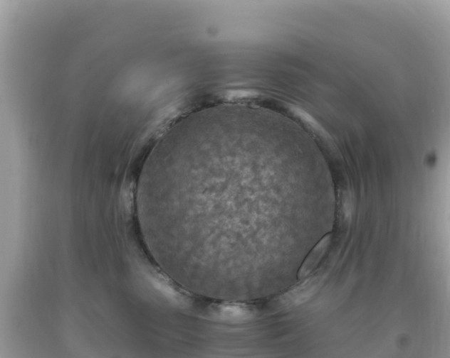 X0000093770475200710231316