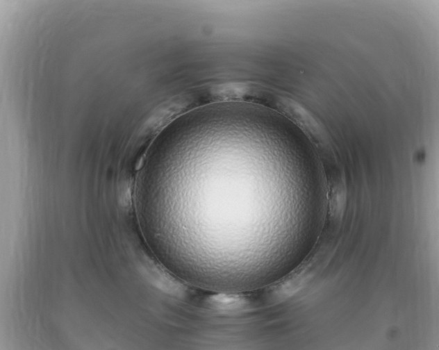 X0000093770477200710231316