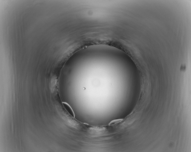 X0000093770480200710231316