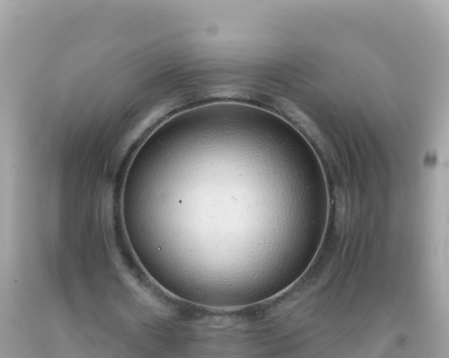 X0000093770482200710231315