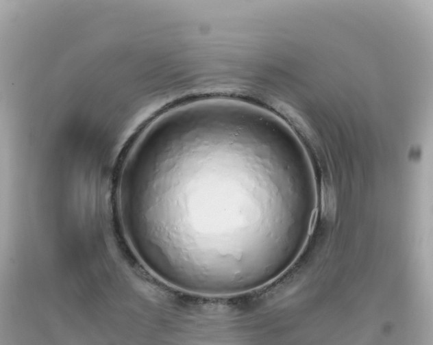 X0000093770483200710231315