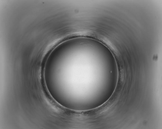 X0000093770486200710231315