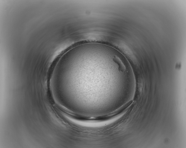 X0000093770488200710231315