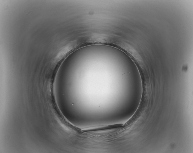 X0000093770489200710231315