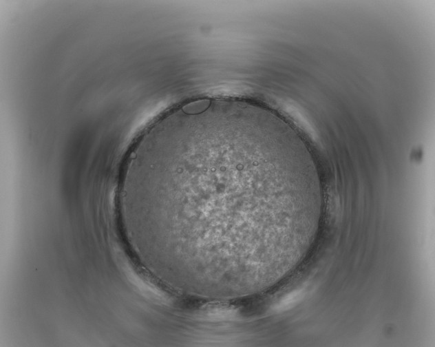 X0000093770491200710231315