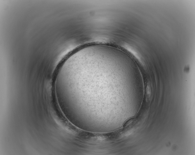 X0000093770492200710231315