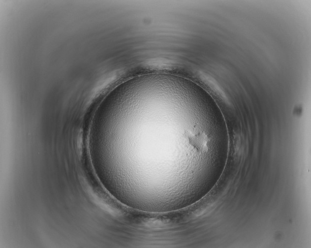 X0000093770494200710231315