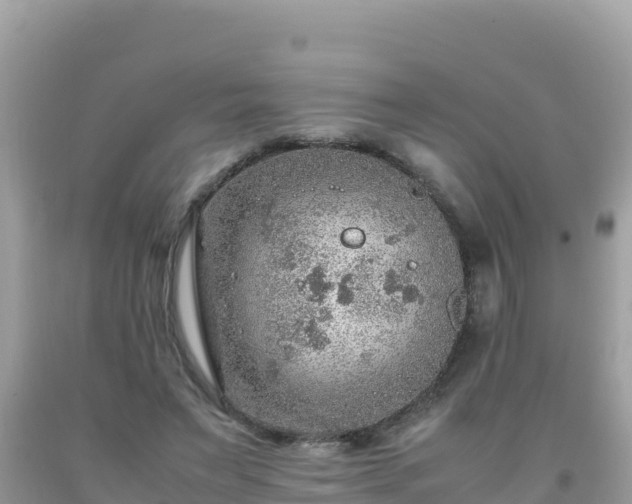 X0000093770495200710231315