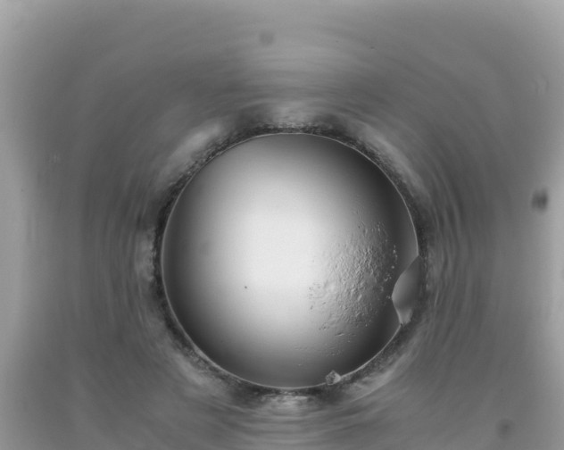 X0000093770497200710231315