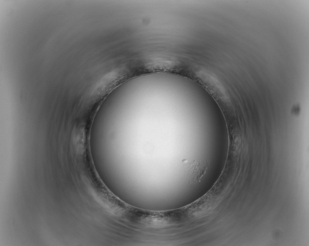 X0000093770498200710231315