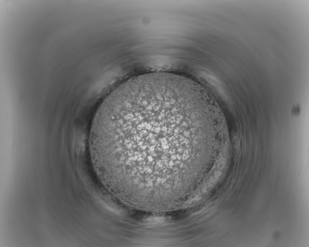 X0000093770499200710231315