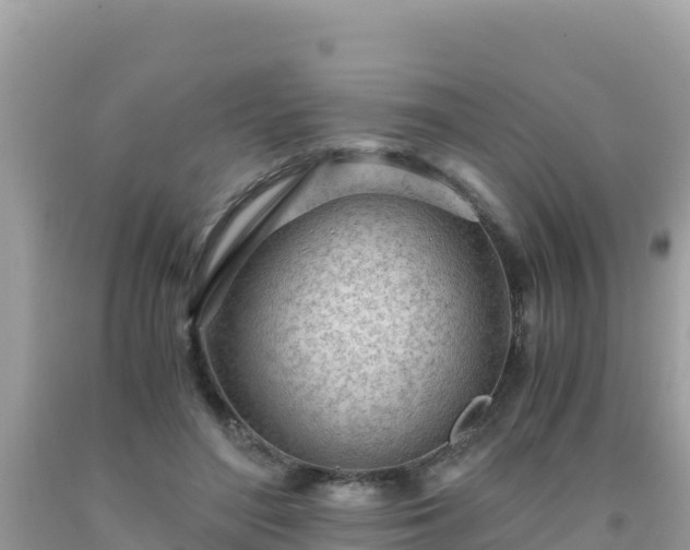 X0000093770500200710231315