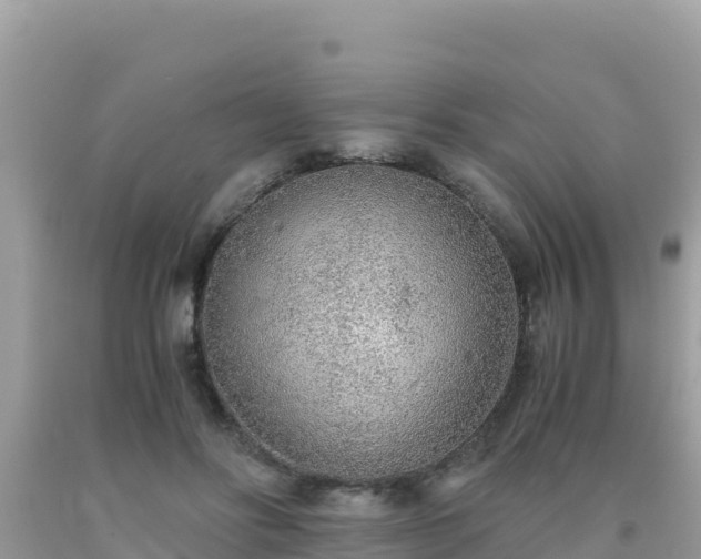 X0000093770502200710231315