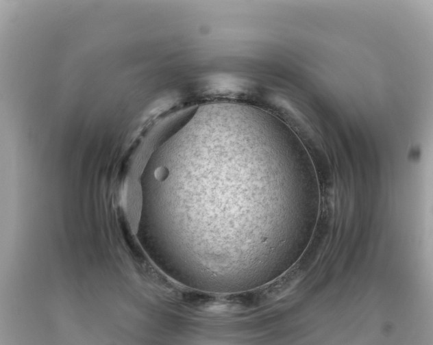 X0000093770504200710231315